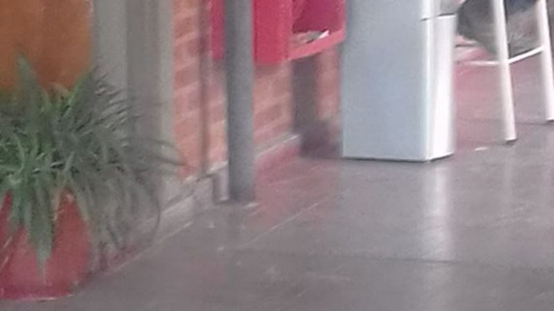 En escuela pública, directora puso dispenser a disposición de los alumnos