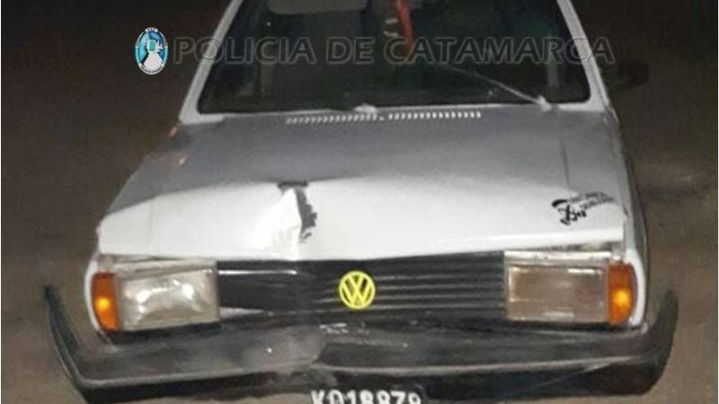 Chocó contra un poste y dejó sin luz a Nueva Coneta