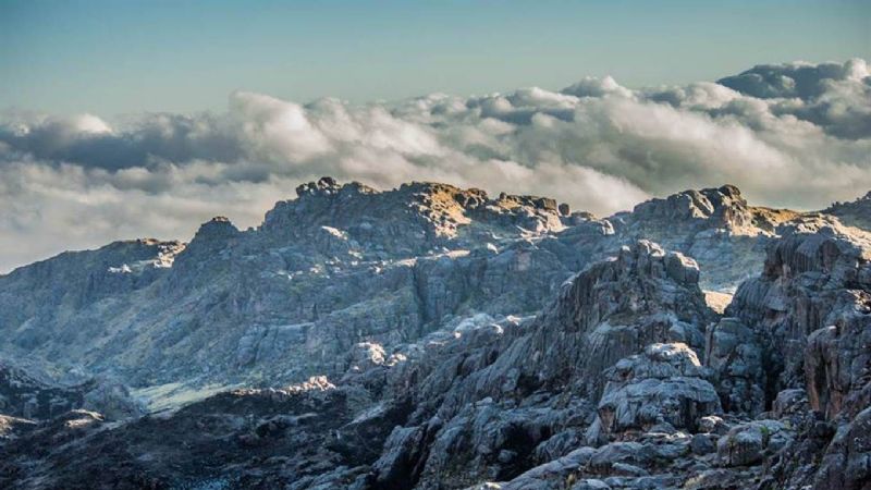 El Manchao Ultra Trail, en primera persona