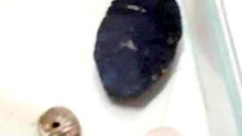 Nuevo hallazgo arqueológico en Andalgalá