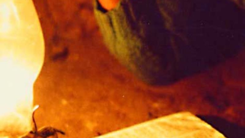 Último encuentro de lectio divina de este año