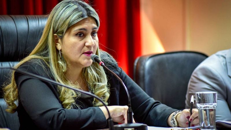 El Senado convirtió en Ley el Programa de la “Fiebre del Valle”
