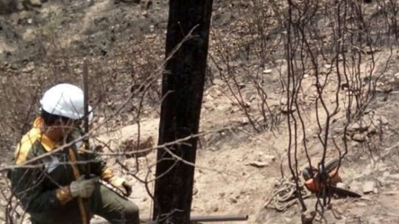 El lunes quedará restablecido el servicio de energía en Los Ángeles