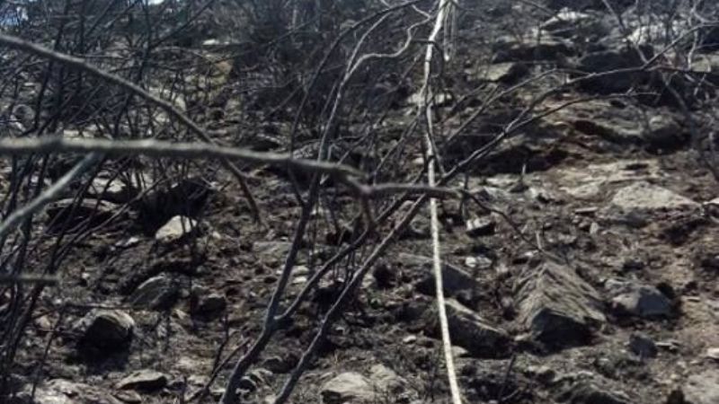 El lunes quedará restablecido el servicio de energía en Los Ángeles