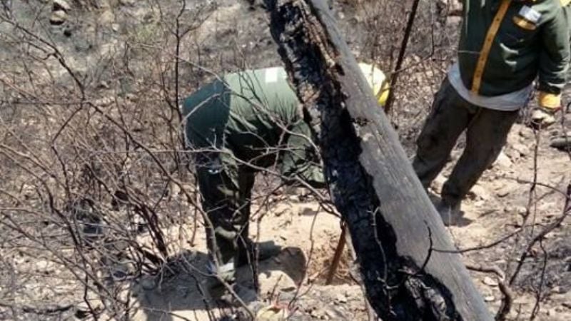 El lunes quedará restablecido el servicio de energía en Los Ángeles