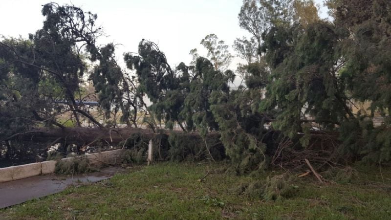 La caída de árboles dejó sin agua por unas horas a Andalgalá