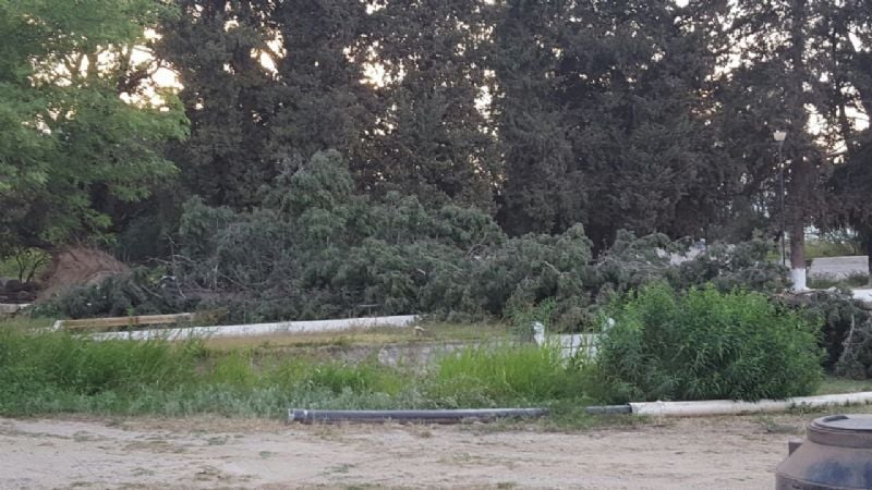 La caída de árboles dejó sin agua por unas horas a Andalgalá