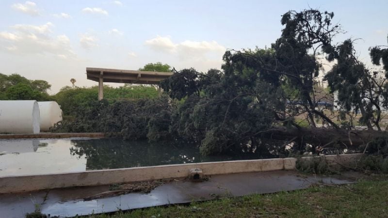 La caída de árboles dejó sin agua por unas horas a Andalgalá