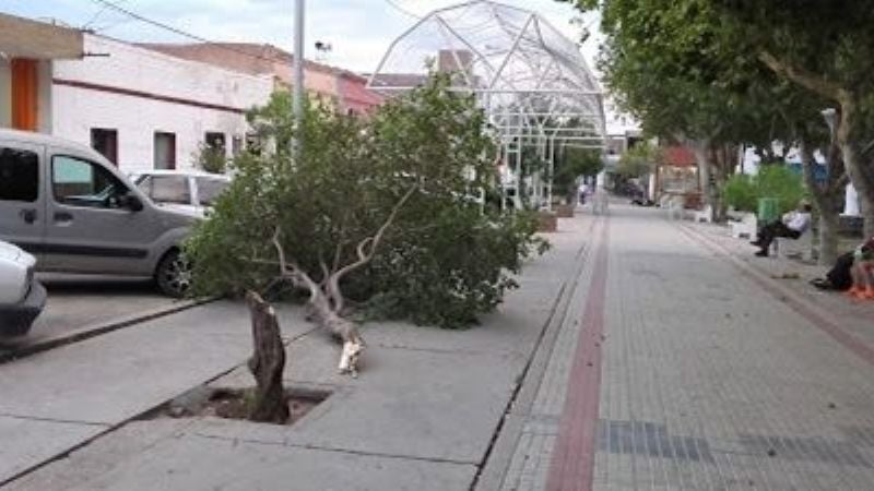 Un huracán provocó pánico en Andalgalá