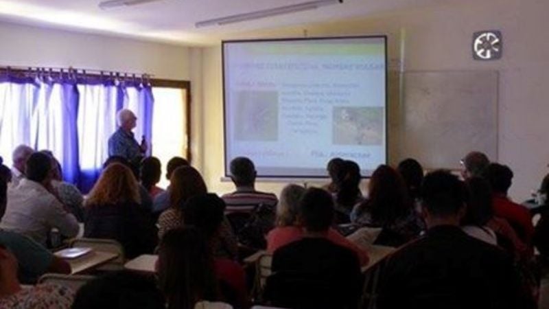 Plantas aromáticas y sus aceites esenciales