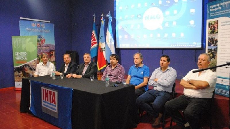 Problemas fitosanitarios en olivo y vid