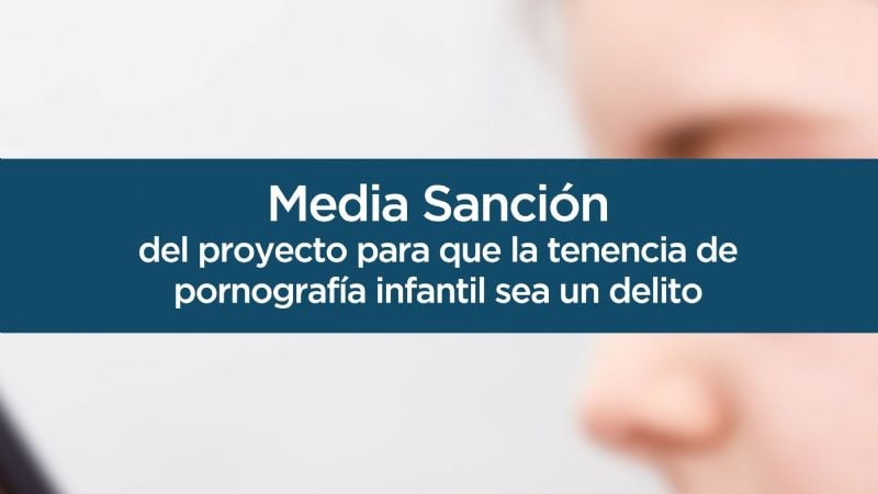 El Senado aprobó proyecto de Mera contra la pornografía infantil