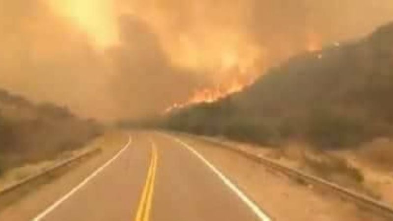 El incendio forestal llegó hasta La Rioja