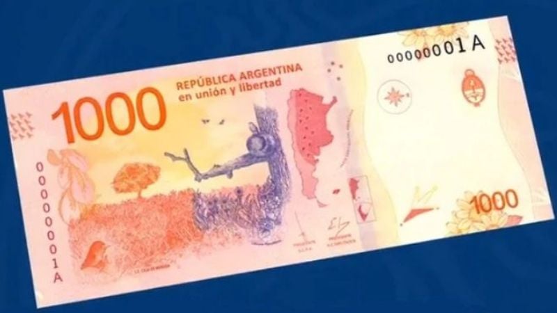 Presentaron el billete de 1.000 pesos con la imagen del hornero