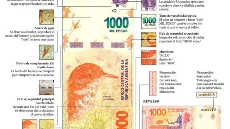 Presentaron el billete de 1.000 pesos con la imagen del hornero