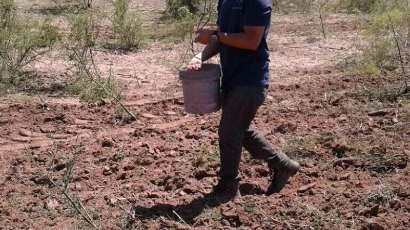 Agronomía de Zona: continúa la siembra en el interior de La Paz