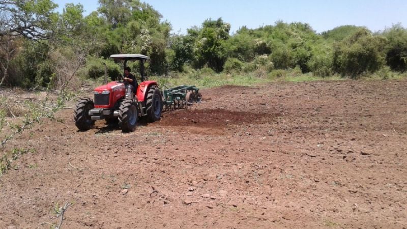 Agronomía de Zona: continúa la siembra en el interior de La Paz