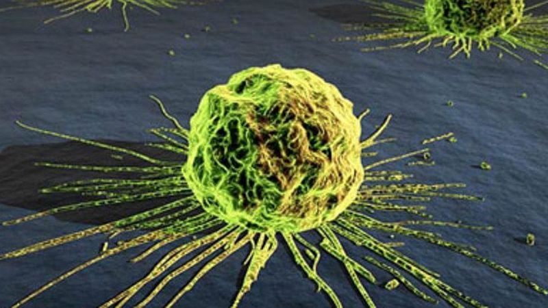 En Argentina se diagnostica un caso de cáncer cada cinco minutos