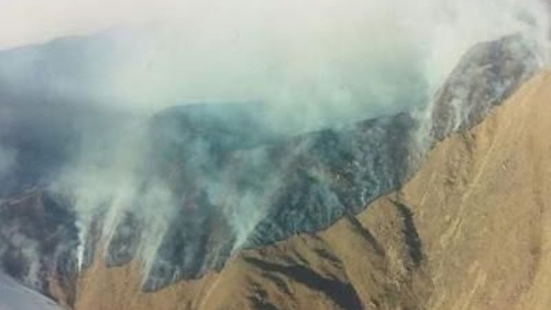 Catamarca con crecientes cifras de incendios forestales y sin ley
