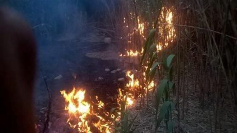 Identifican a los autores del incendio en Minas Capillitas