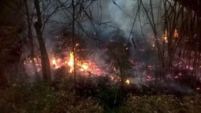 Identifican a los autores del incendio en Minas Capillitas
