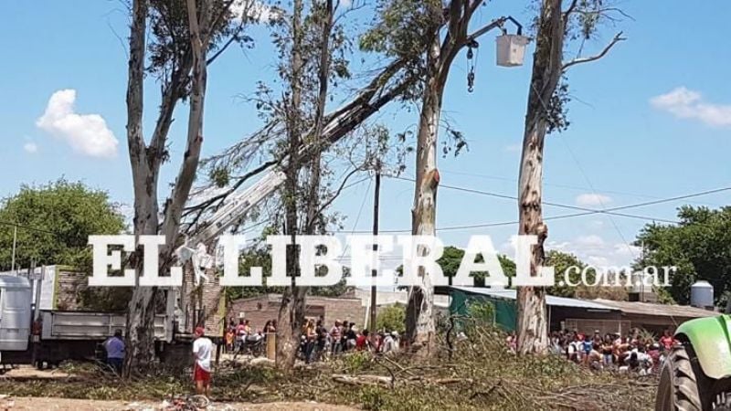 Un hombre podaba un eucalipto, cayó al vacío y murió