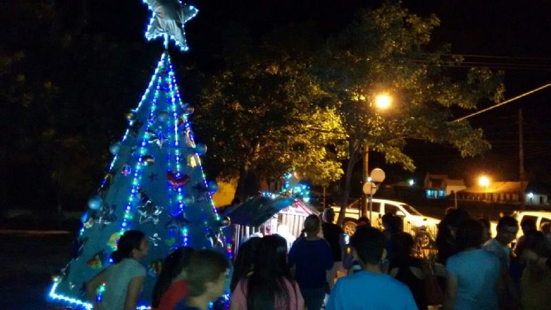Pesebre y arbolito de Navidad en la parroquia San Roque