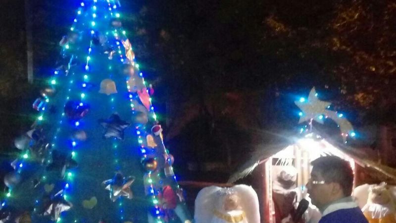 Pesebre y arbolito de Navidad en la parroquia San Roque