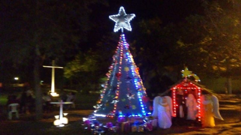 Pesebre y arbolito de Navidad en la parroquia San Roque