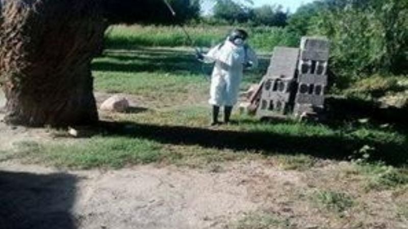 Control de insectos y alimañas en Malli