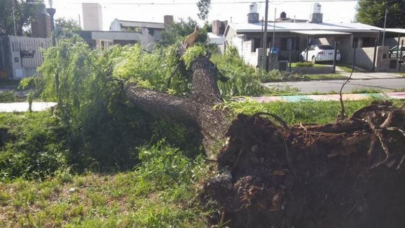 Córdoba sin luz a causa de un fuerte temporal