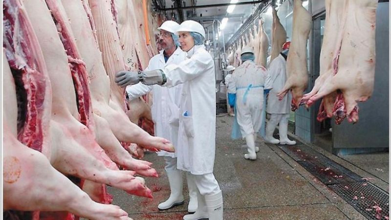 Evalúan bajar el IVA al pollo, cerdos y conejos