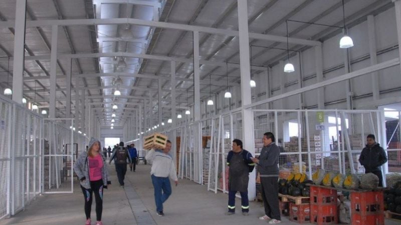 Joven aprehendida por robar en el Mercado de Abasto