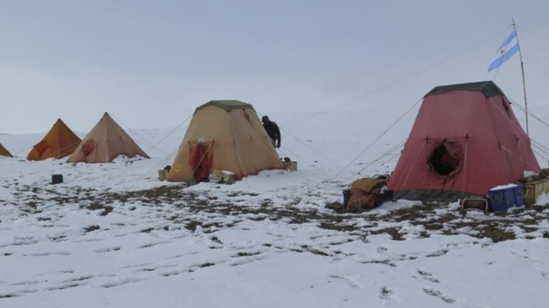 Descubrieron un plesiosaurio de 150 millones de años en la Antártida