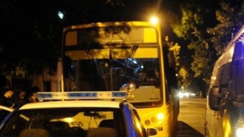 Chocó contra un árbol cuando descendían pasajeros de un colectivo
