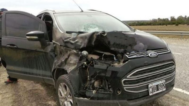 Embistió a una vaca en la ruta