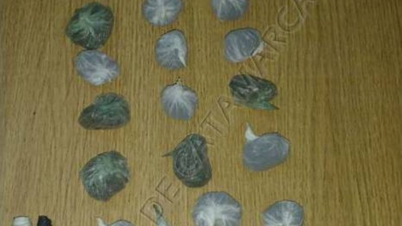 Secuestran droga en un puesto caminero de Valle Viejo