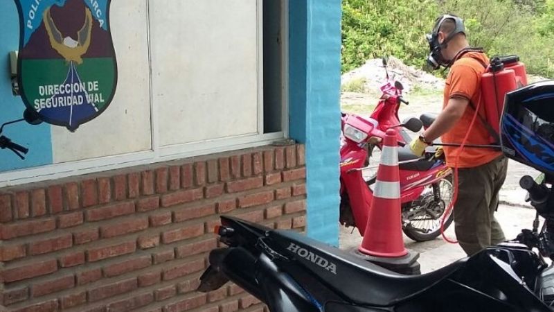 Defensa Civil rescató a un gato atrapado en un árbol