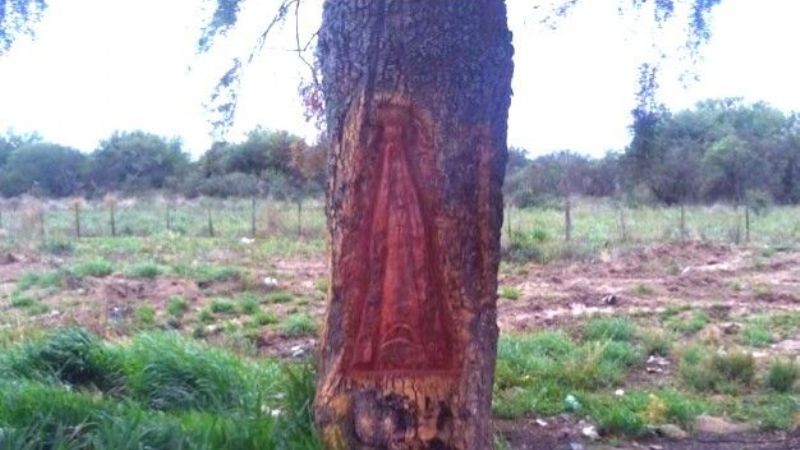 Peregrino talló la imagen de la Virgen del Valle en un árbol