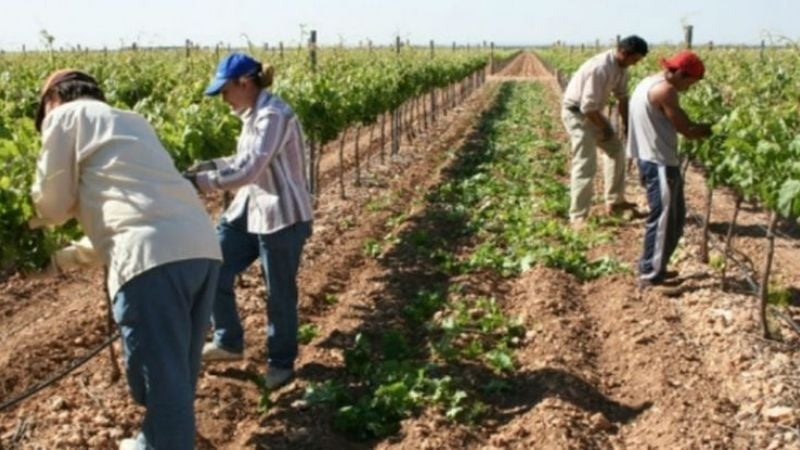 Oficializan suba del subsidio por desempleo para trabajadores rurales