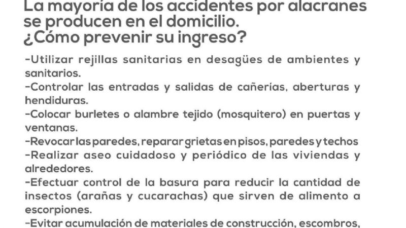 Piden extremar las medidas para prevenir picaduras de alacranes