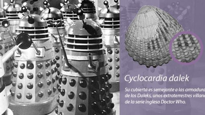 De superhéroes, videojuegos y paleontología