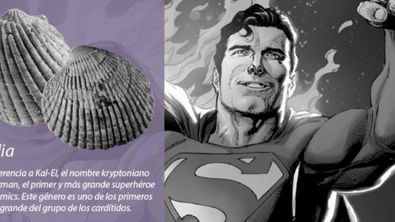 De superhéroes, videojuegos y paleontología