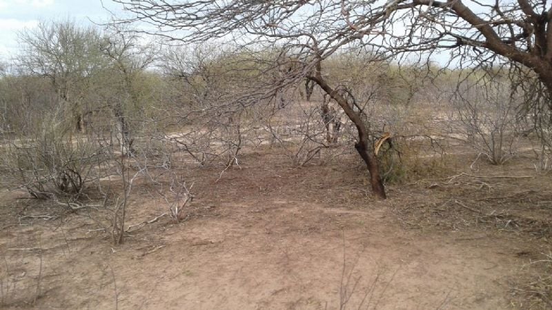 Entregan forraje a productores en La Guardia