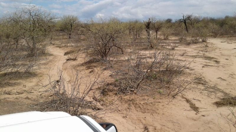 Entregan forraje a productores en La Guardia