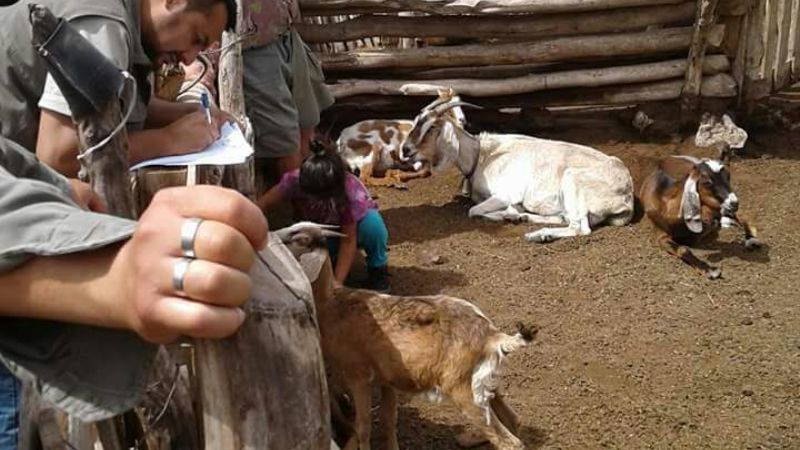 Entregan forraje a productores en La Guardia