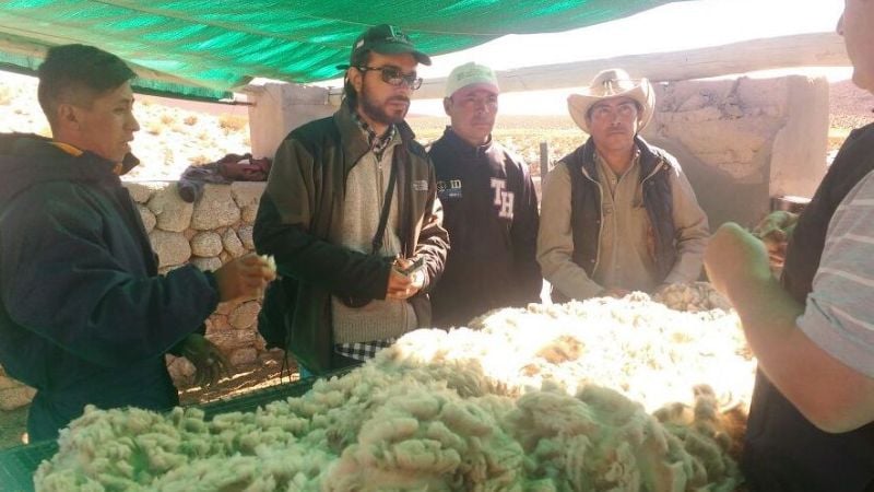 Capacitación práctica sobre esquila mecánica