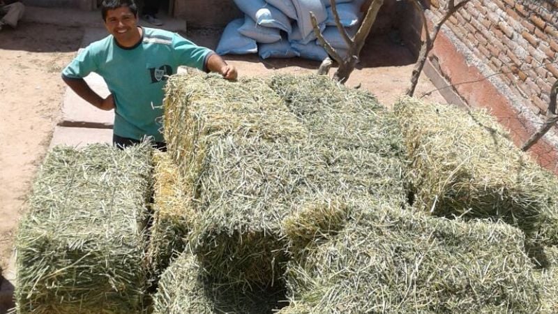 Relevan daños del temporal en La Guardia e Icaño