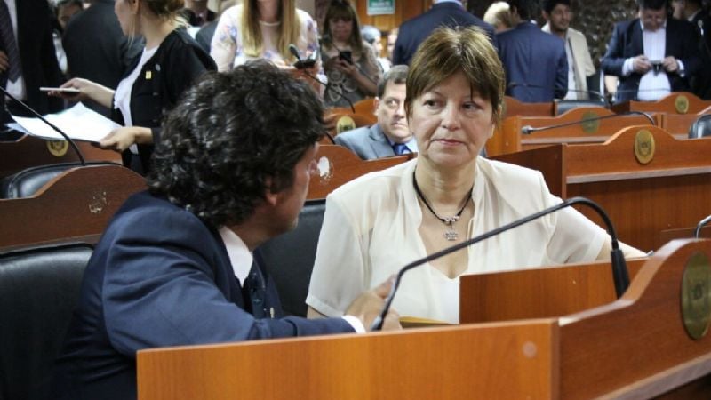 Sin lugar a impugnaciones, Natalia Soria asumió como diputada