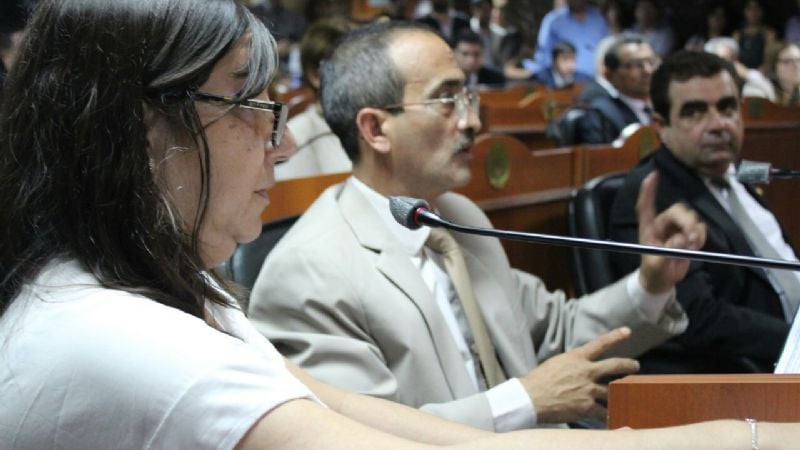 Sin lugar a impugnaciones, Natalia Soria asumió como diputada